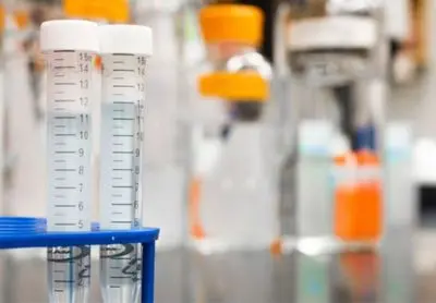 Aditivos y ayudas de procesos